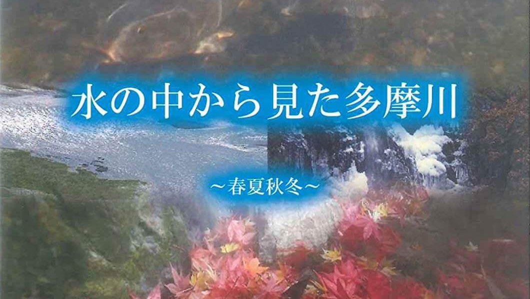 水の中から見た多摩川　～春夏秋冬～